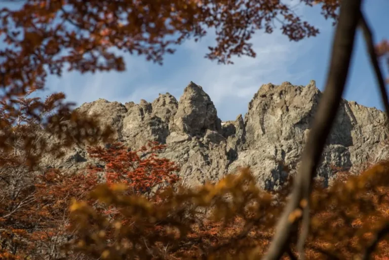 El Bolson en otoño: naturaleza, bienestar y nuevas propuestas en el corazón de la Patagonia