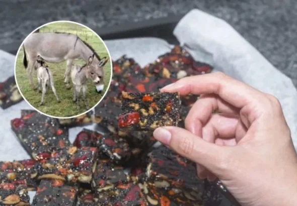 Ejiao: El millonario negocio detrás de la venta de carne de burro que se busca exportar a China