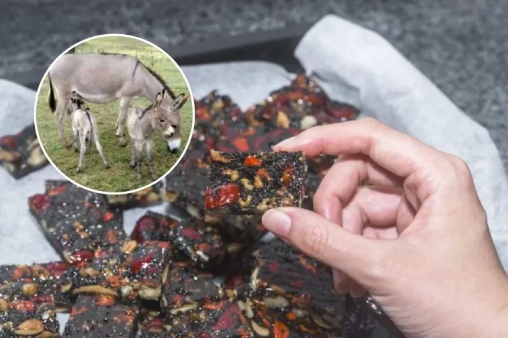 Ejiao: El millonario negocio detrás de la venta de carne de burro que se busca exportar a China