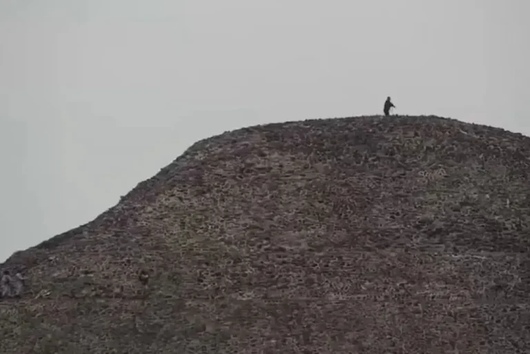 Tiroteo en México: mató a una turista, dejó heridos y se suicidó