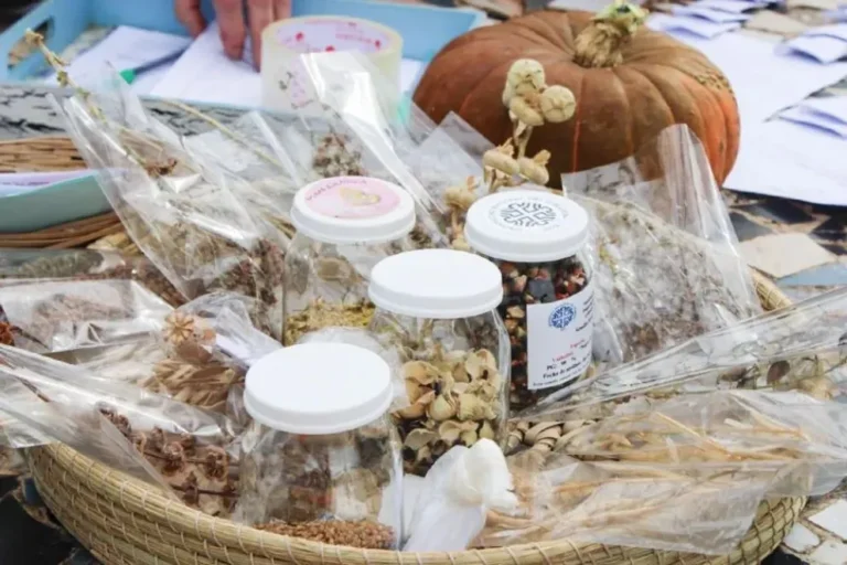 Intercambio de semillas: una práctica que crece y fortalece la producción local