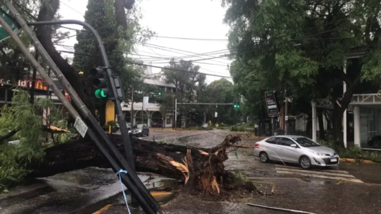 Temporal en el AMBA: ráfagas de 100 km/h y miles de usuarios sin luz