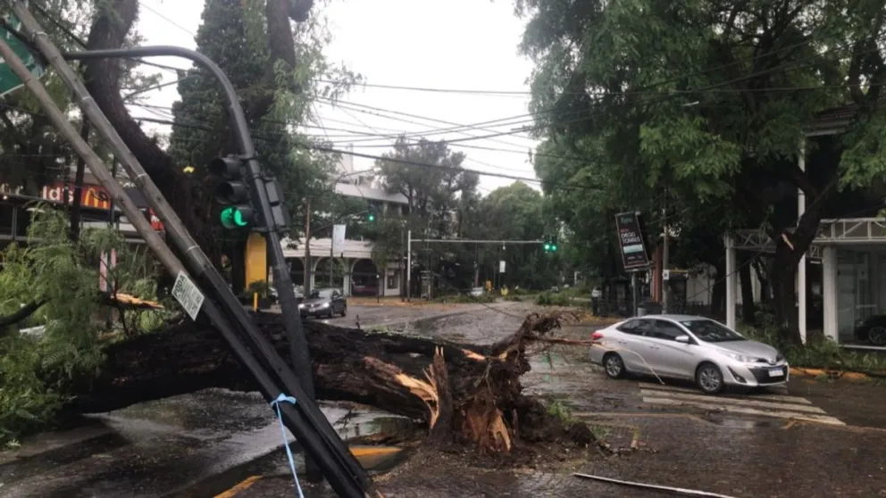 Temporal en el AMBA: ráfagas de 100 km/h y miles de usuarios sin luz