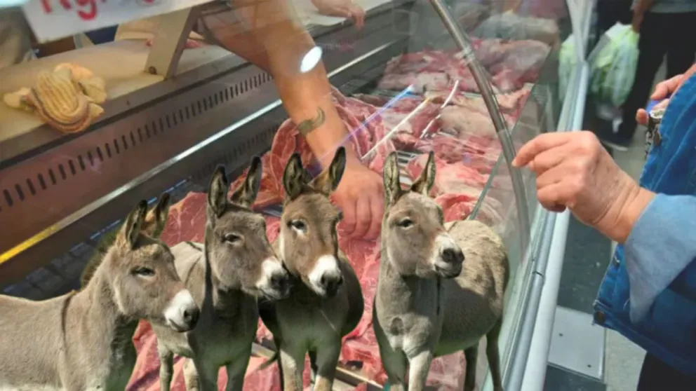 Entre el pragmatismo del bolsillo y la tradición: ¿Qué piensan los comodorenses de la carne de burro?