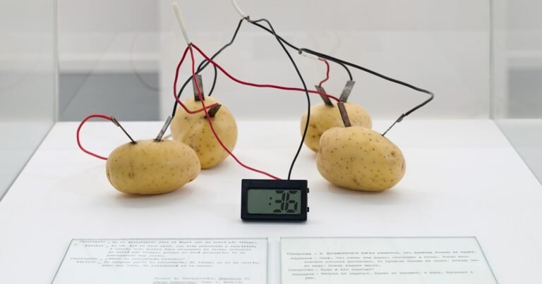 Papas, cables y arte: una muestra en FAN revisita el legado de Víctor Grippo en Buenos Aires