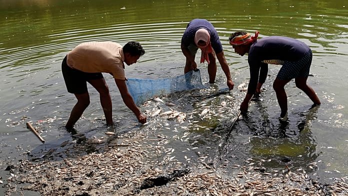 India afronta un calor extremo mientras aparecen peces muertos en Nueva Delhi