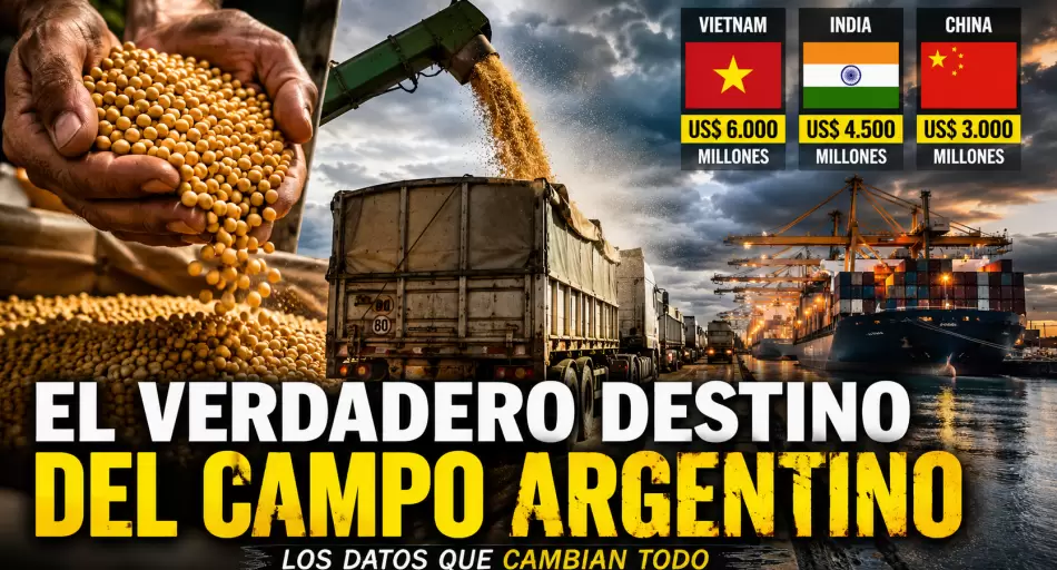 ¿A quién le vende realmente la Argentina? El mapa oculto del comercio exterior del campo