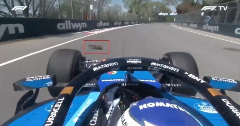 Insólito accidente en la Fórmula 1: Alex Albon atropelló una marmota en el GP de Canadá, destrozó parte su Williams y no pudo correr la qualy del sprint