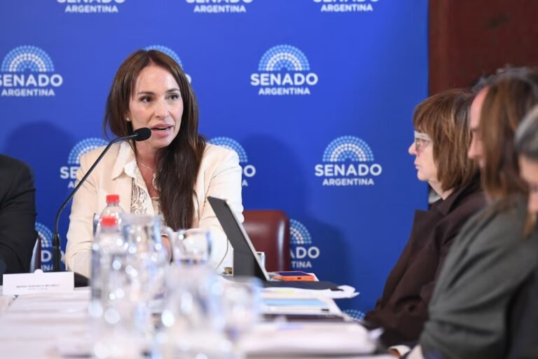 Rechazo a la decisión del Gobierno de vetar el ascenso de una candidata a jueza por ser cuñada de un periodista