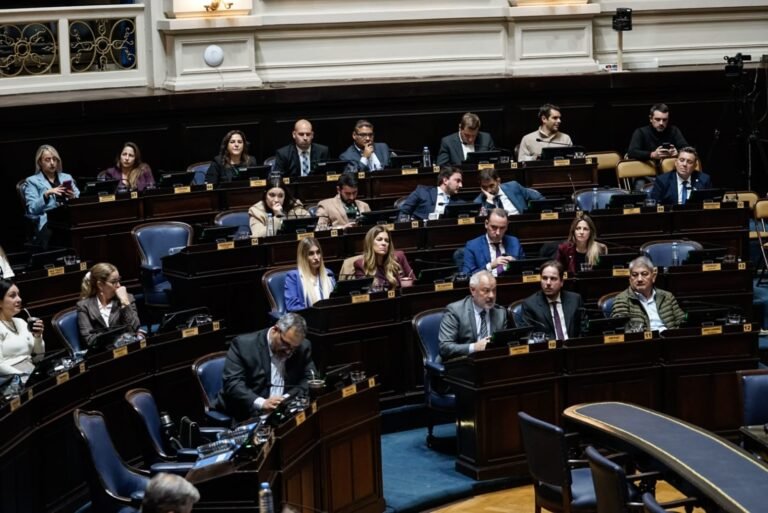 Casi cuatro meses de parálisis: la Cámara de Diputados bonaerense tuvo su primera sesión ordinaria del año