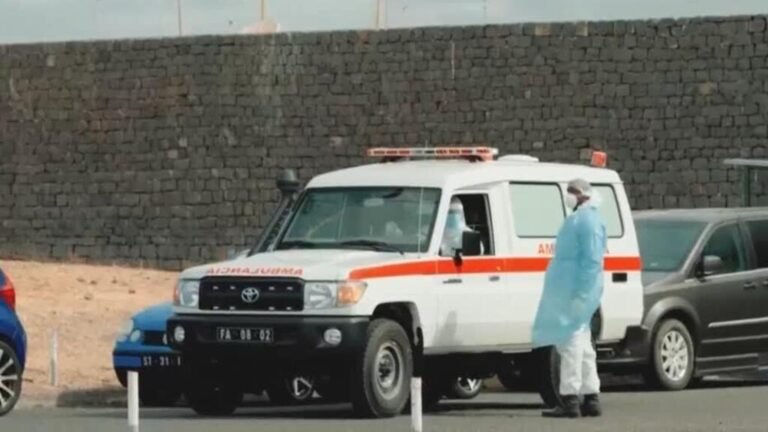 España: mujer que viajó en el vuelo de la neerlandesa que murió por hantavirus se habría contagiado