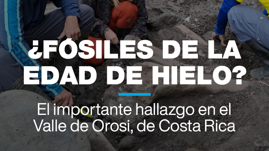 ¿Fósiles de la Edad de hielo? El importante hallazgo en Costa Rica