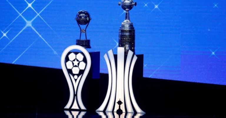 Copa Libertadores y Sudamericana: qué necesita cada equipo argentino para clasificar y cómo está la pelea grupo por grupo