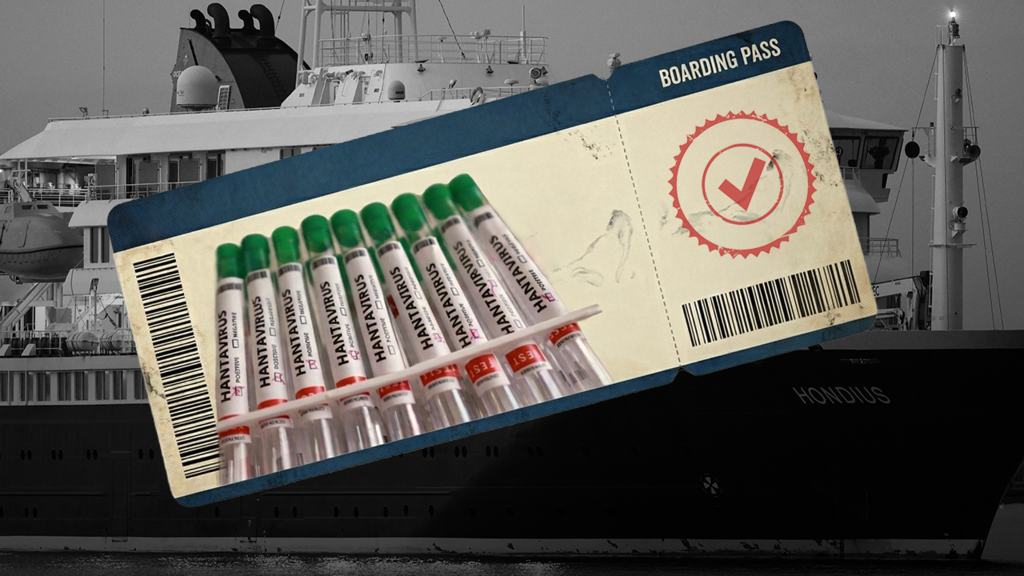 Hantavirus... gastroenteritis: ¿qué riesgos hay al abordar un crucero?