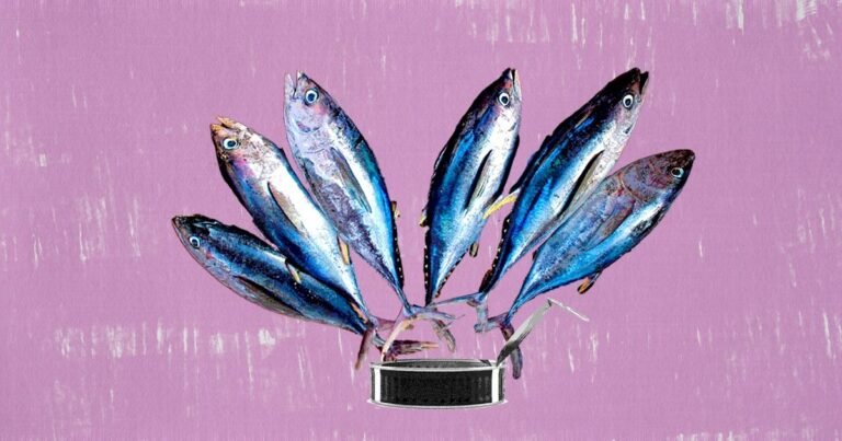 Atún en lata, una forma accesible de comer pescado: proteína, Omega-3 y ¿hay que preocuparse por el mercurio?