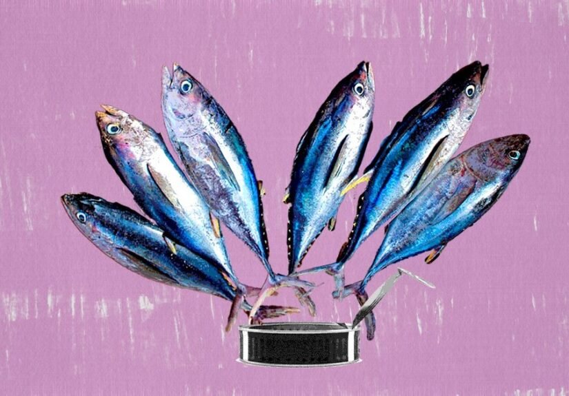 Atún en lata, una forma accesible de comer pescado: proteína, Omega-3 y ¿hay que preocuparse por el mercurio?