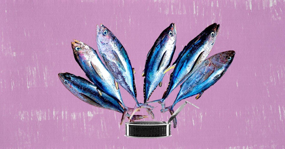 Atún en lata, una forma accesible de comer pescado: proteína, Omega-3 y ¿hay que preocuparse por el mercurio?