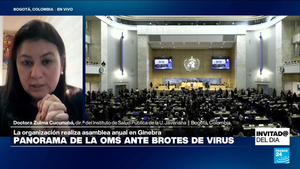 ¿Cuál es el panorama de la OMS ante los brotes de hantavirus y ébola y la desfinanciación de EE. UU.?