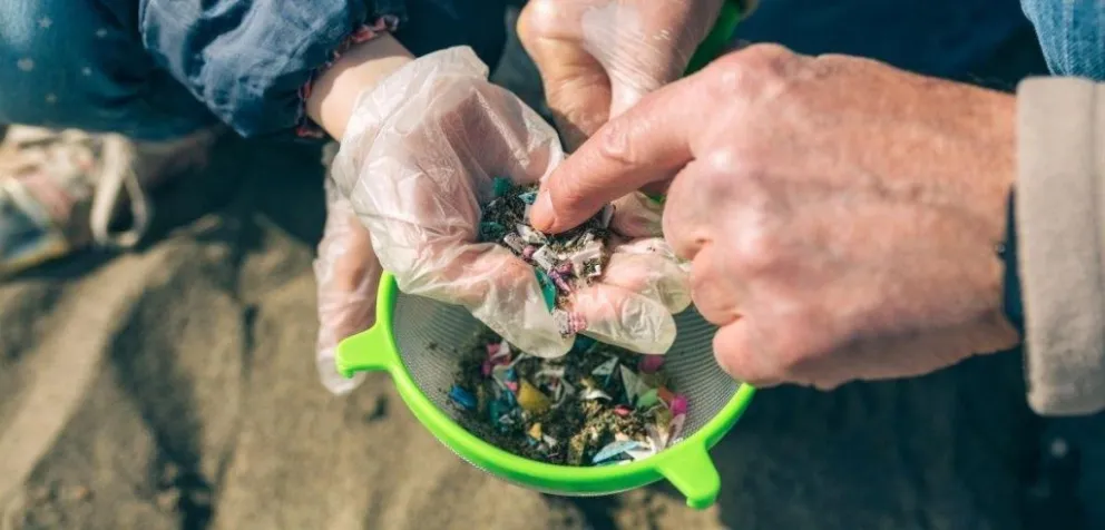 Desarrollan nuevo estándar para detectar microplásticos en suelos agrícolas