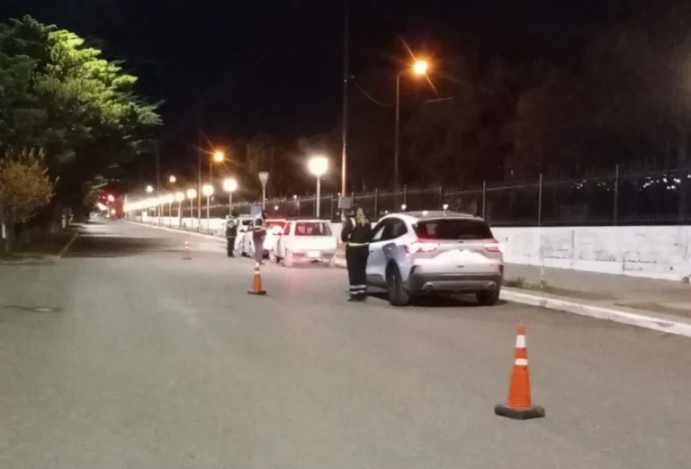Detectaron cinco alcoholemias positivas en un control en avenida Polonia