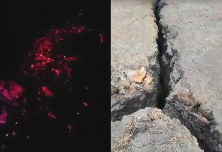 Gastre: geólogos no pudieron investigar el fuego subterráneo por falta de acceso