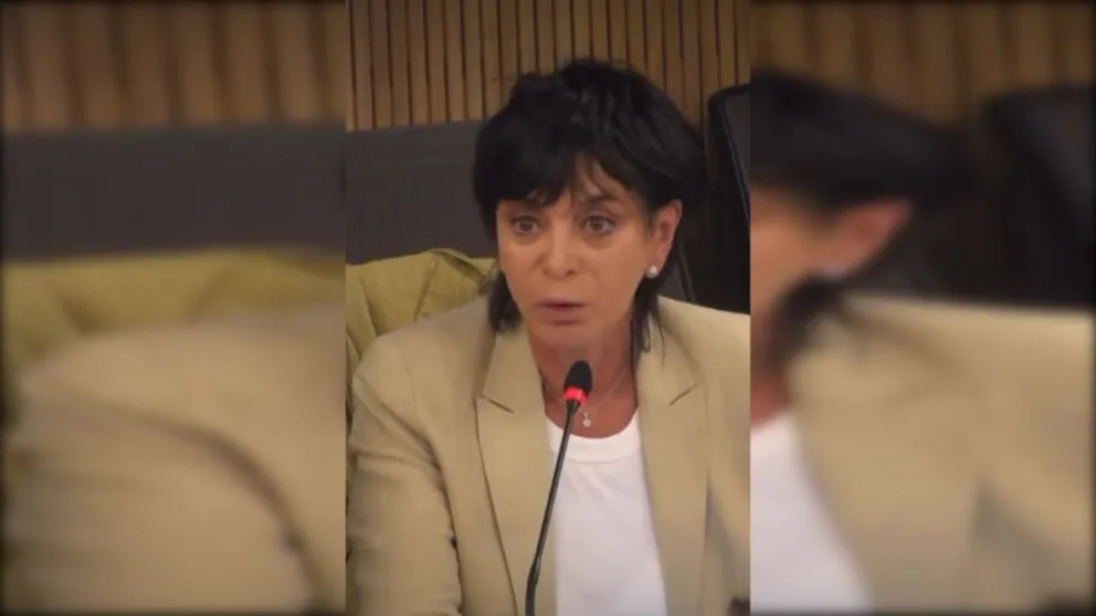 Lo que lleva adelante Milei, "es una estrategia para sacar del medio al periodismo profesional", aseguró Mónica Gutiérrez
