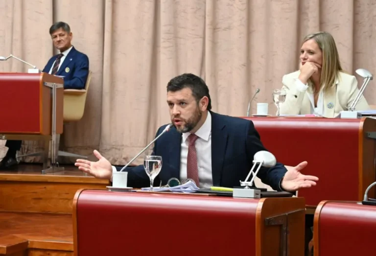 Pais: "Ninguna fuerza federal podrá intervenir en ninguna protesta”
