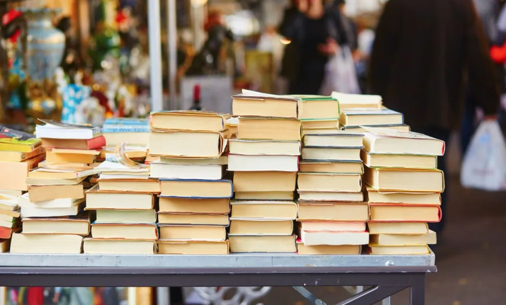 Provincia presentó en Río Mayo y Río Senguer un nuevo modelo de gestión para ferias del libro