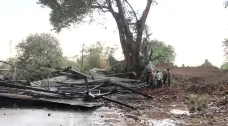 Tormentas extremas en la India: reportan 117 muertes y graves daños