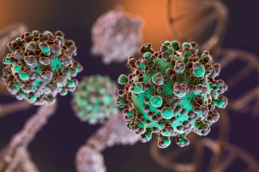 Hantavirus: detectan tres nuevos casos en el pais