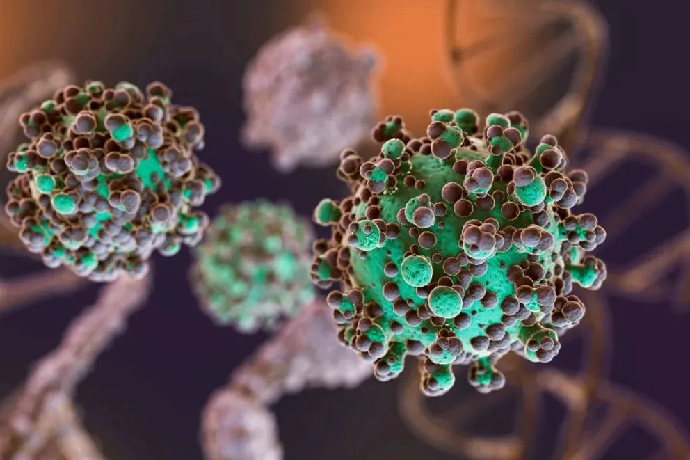 Alerta epidemiológica por hantavirus: registran más de cien contagios en el país