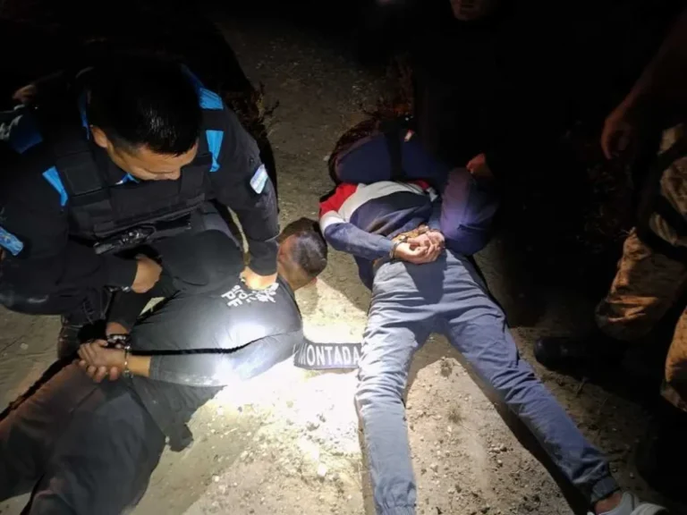 Condenaron a un hombre por abigeato y robo en Puerto Madryn