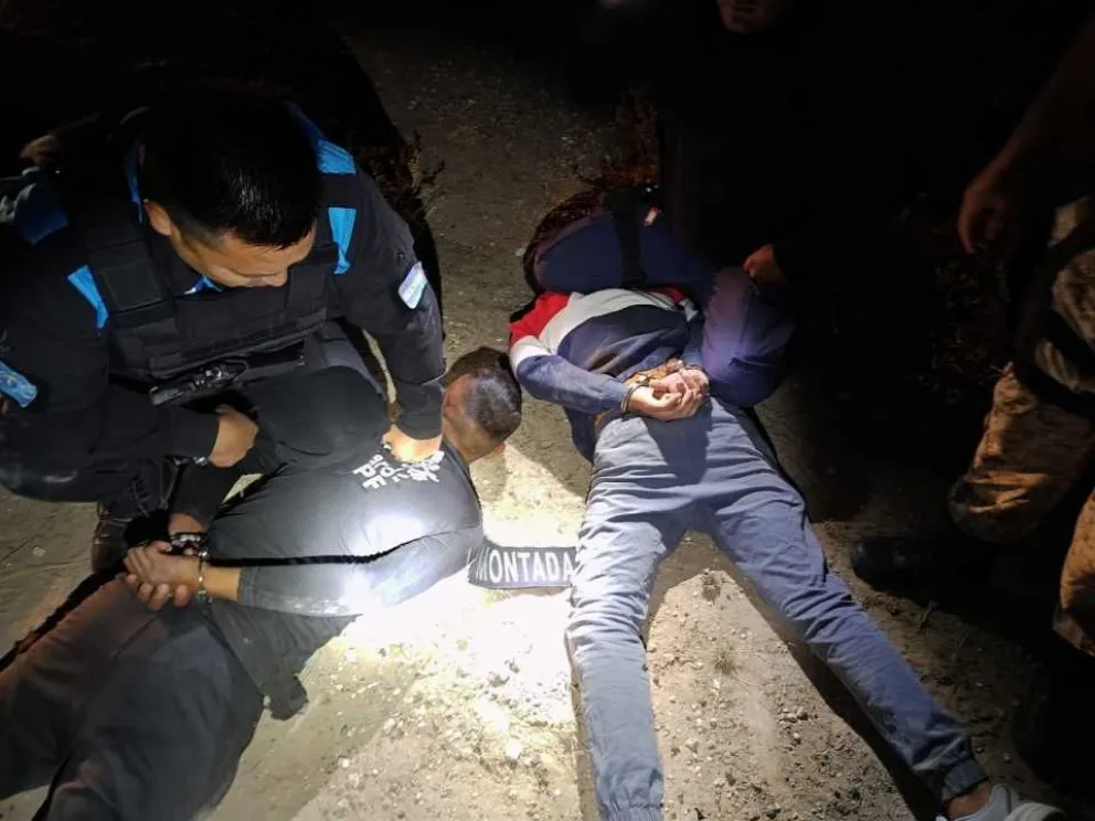 Condenaron a un hombre por abigeato y robo en Puerto Madryn