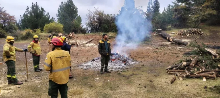 El Bolsón: SPLIF recordó la importancia de reducir combustibles y extremar cuidados al realizar quemas
