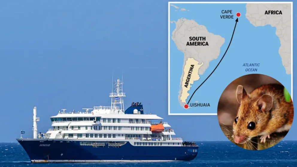¿Qué hay detrás del brote letal de hantavirus que convirtió a un crucero en una prisión flotante?