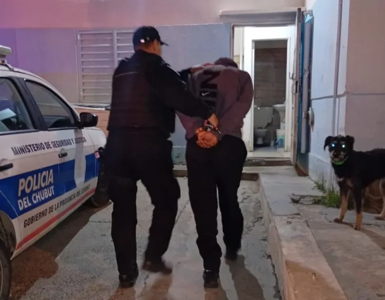 Cinco hombres amenazaron a una mujer para usurparle la casa y terminaron detenidos
