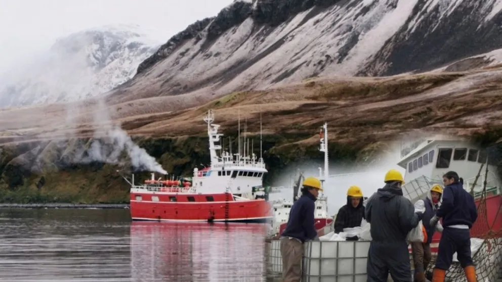 La pesca de calamar en Malvinas genera pérdidas millonarias para Argentina y financia la ocupación