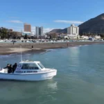 Comodoro abre el mar: Habilitan el desarrollo de snorkel, buceo y nado con lobos marinos como producto turístico