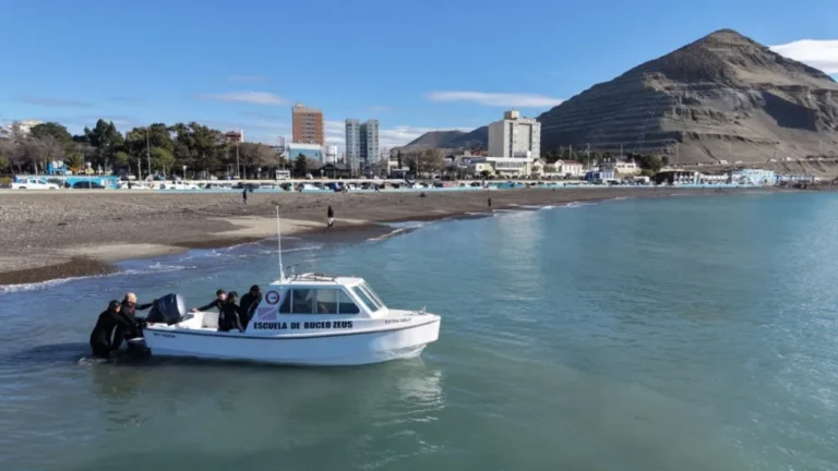 Comodoro abre el mar: Habilitan el desarrollo de snorkel, buceo y nado con lobos marinos como producto turístico