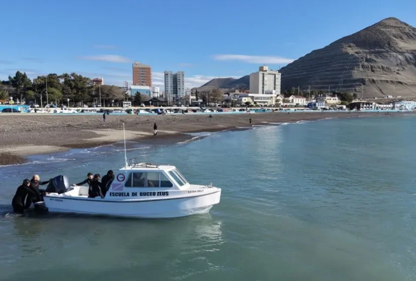 Comodoro abre el mar: Habilitan el desarrollo de snorkel, buceo y nado con lobos marinos como producto turístico