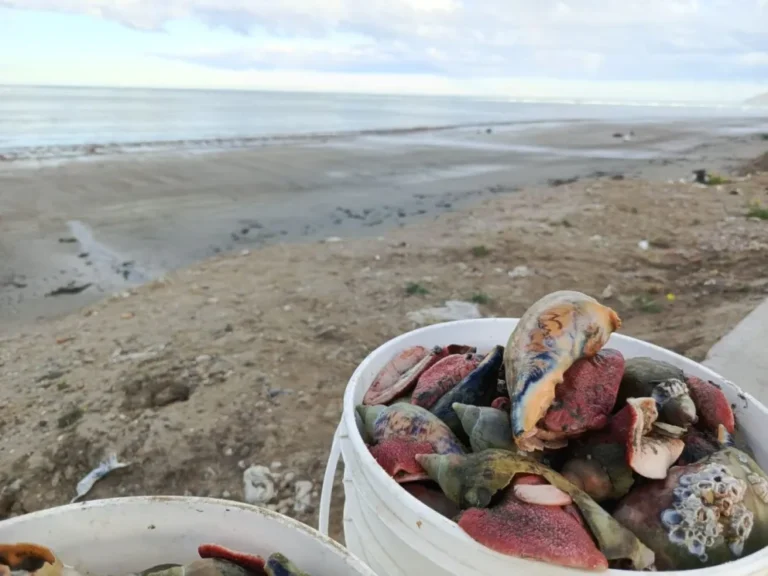 La marejada también trajo oportunidades para los marisqueros del Stella Maris