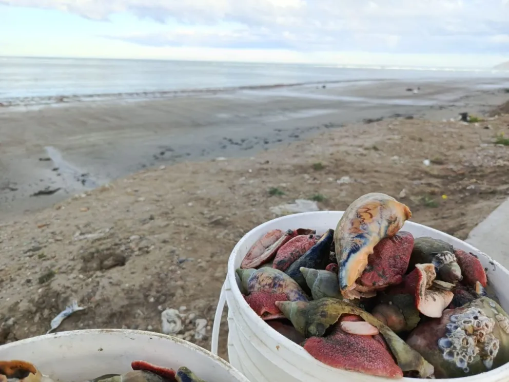 La marejada también trajo oportunidades para los marisqueros del Stella Maris