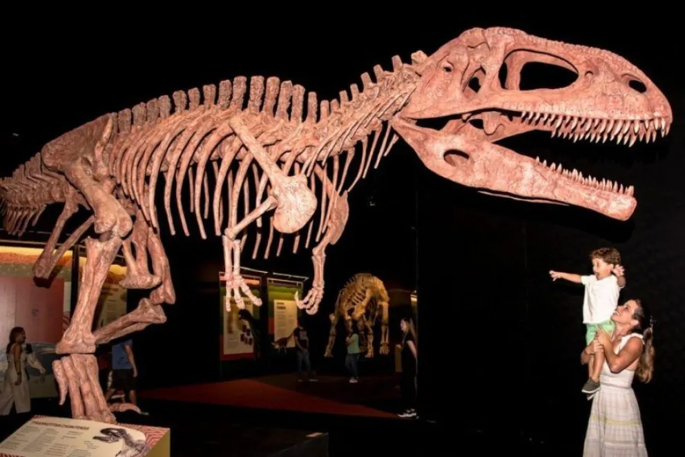 Ciencia, paleontologia y turismo para una noche mágica