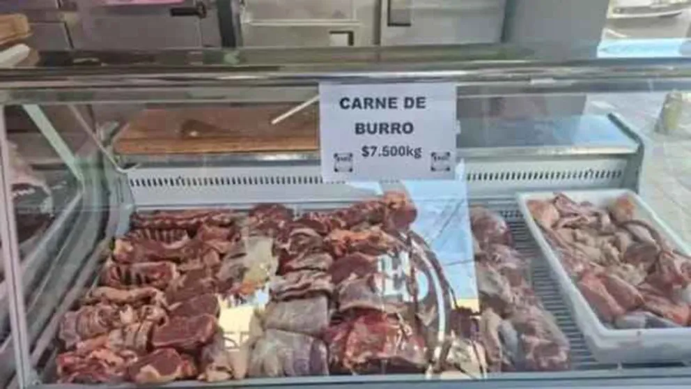 La "Carne de burro" bajo análisis judicial 