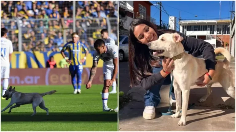 Divertido incidente en el "Gigante" de Arroyito