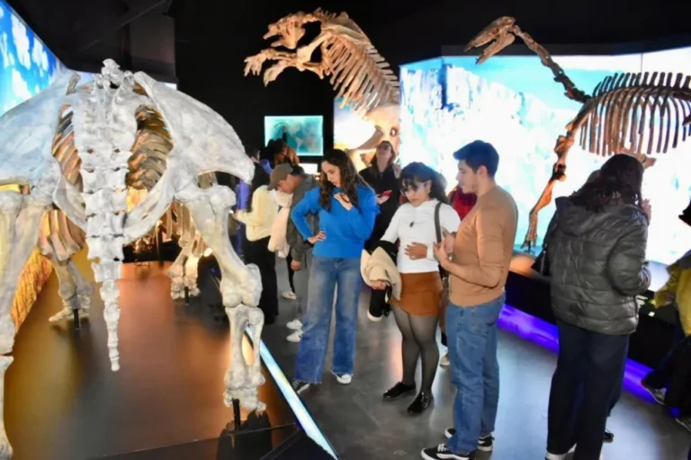 Medina: "La Noche de los Museos fue un éxito"