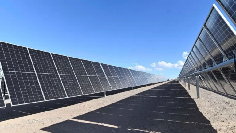 Cinco empresas presentaron ofertas para construir el Parque Solar Fotovoltaico Paso de Indios