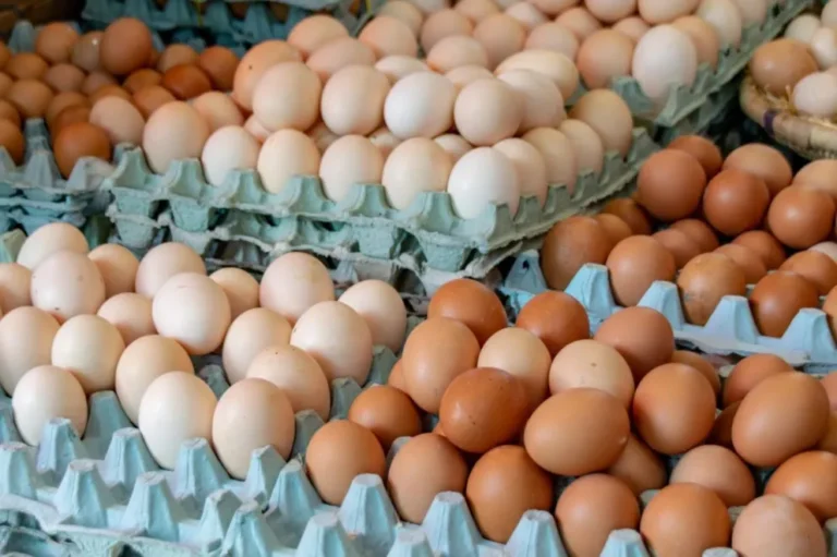 Argentina cubrió en tiempo récord su cupo exportador de huevos para el mercado de la Unión Europea