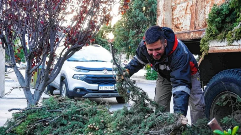 Rawson abre las inscripciones para el taller de poda de arbolado urbano