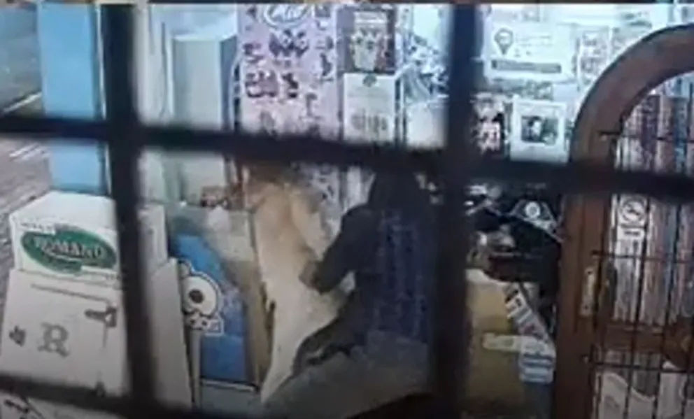 Miramar: delincuentes asaltaron un kiosco montados a caballo